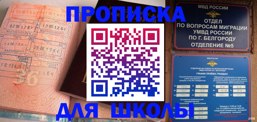 прописка иностранных граждан в Жукове